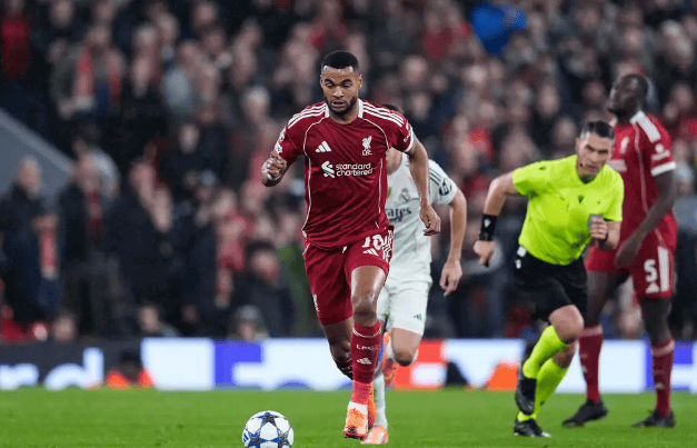 国王杯赛程吃紧，本菲卡赛后迎来里程碑，目标明确，球队文化再被提及的简单介绍